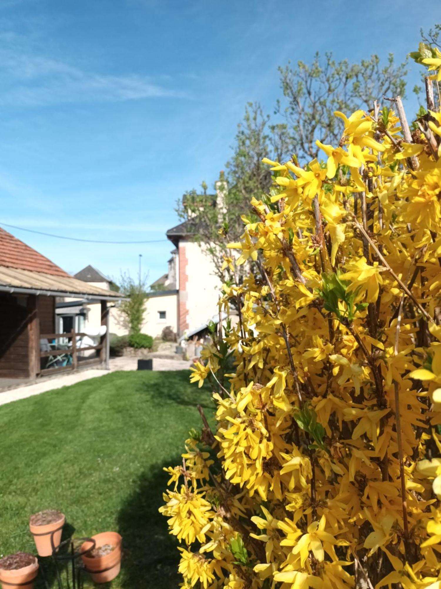 Le Miraillet, Gite Saint-Illide Екстериор снимка